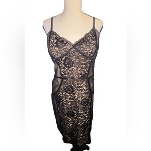bebe Black and Cream Lace Mini Dress